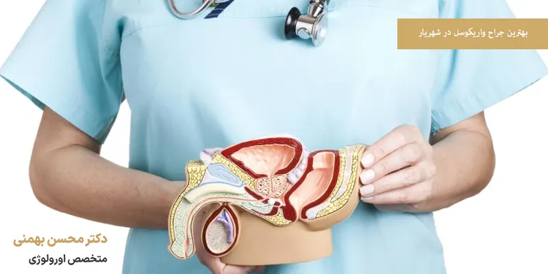 بهترین جراح واریکوسل در شهریار