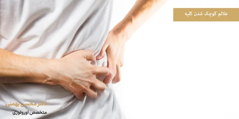 علائم کوچک شدن کلیه