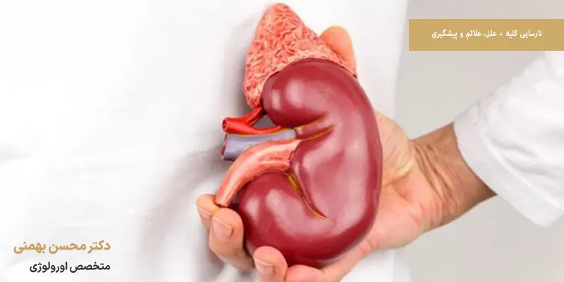 نارسایی کلیه + علل، علائم و پیشگیری